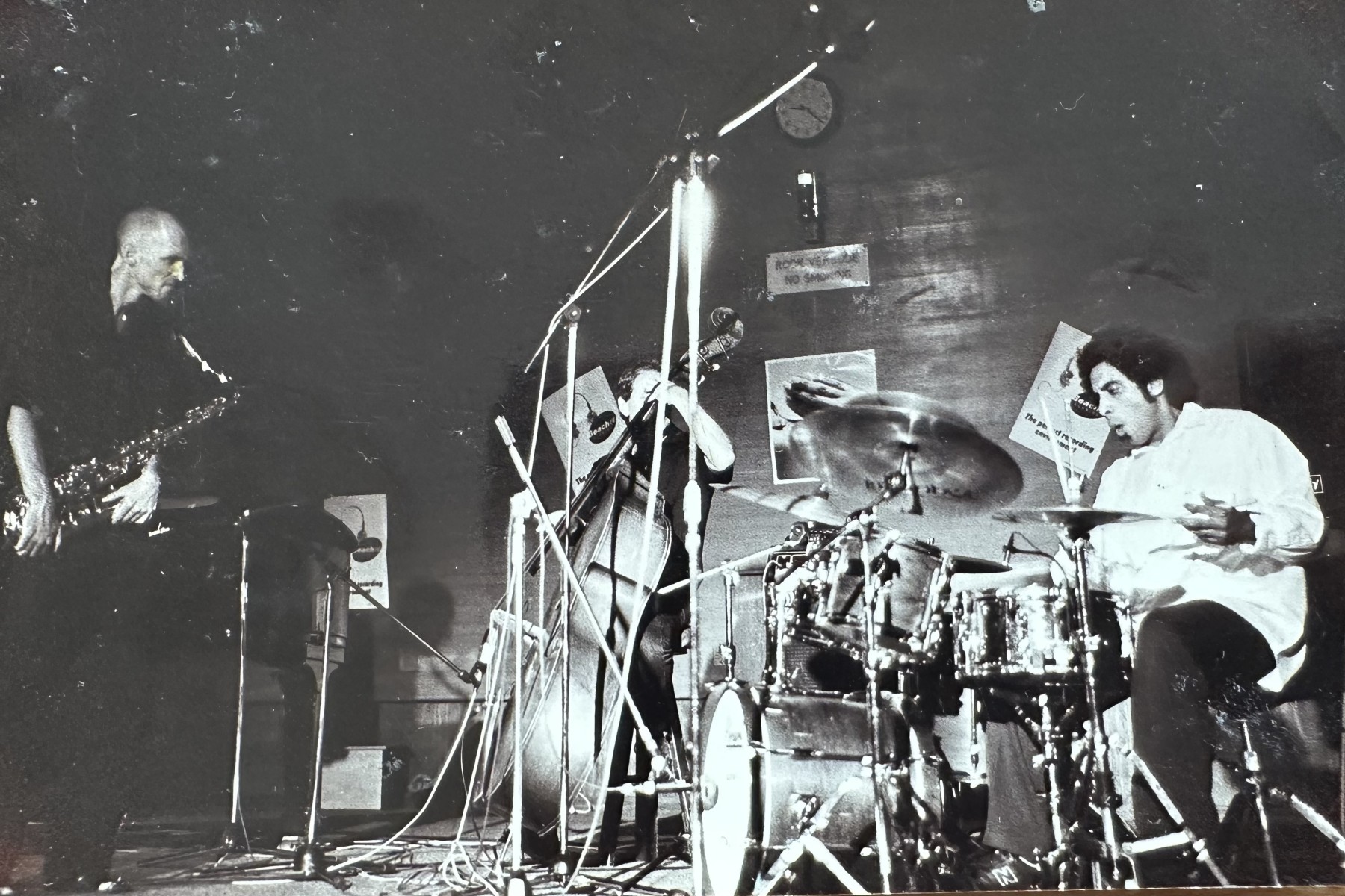 Tribe 2001